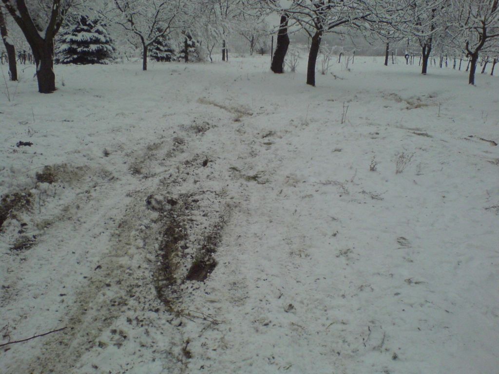 reggelre: h�t itt meg mi t�rt�nt.. mi tudjuk a v�laszt..:))