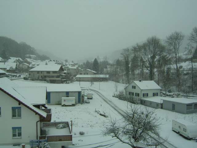 van ilyen kep, amikor m�g zold, oszi a taj