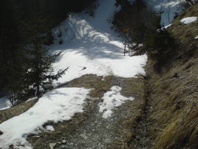 majd kezdjuk elerni a hohatart. ja, 1000 m-rol indultunk, ez kb 1500 m tengerszint felett. 