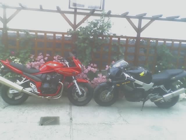 az egyik jobb mint a masik. kepletesen es szo szerint, es mar amiben.