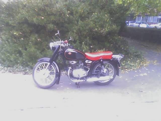 David Pannoniaja. Hatterben MM Tanszek. 