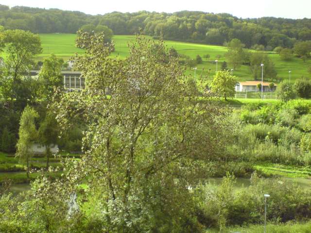 a masik ablakombol pedig ez