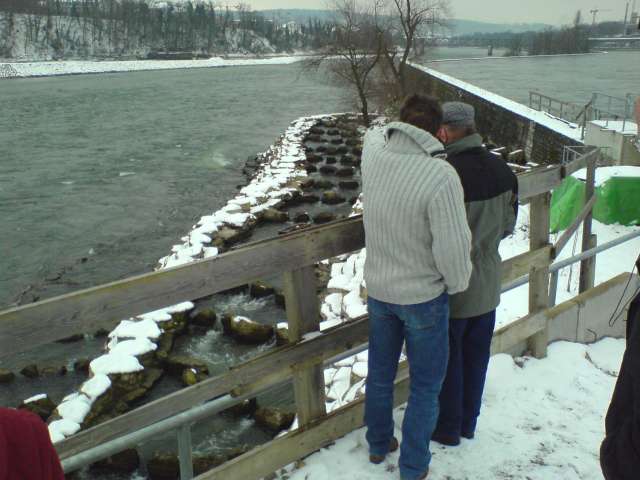 ez a segitseg a halaknak, hogy aramlassal szembe, folfele is tudjanak uszni, es a magasabb vizszintu, turbinat megkerulo csatornat elerjek!
